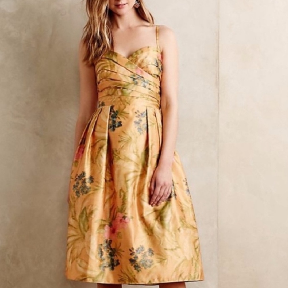 James Coviello Anthropologie Botanica Dress size 4